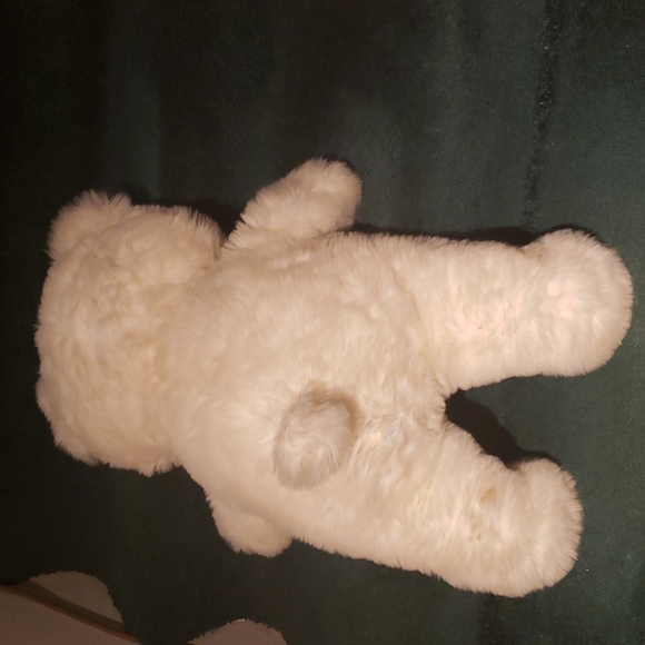 Bear - Picture 8 of 15